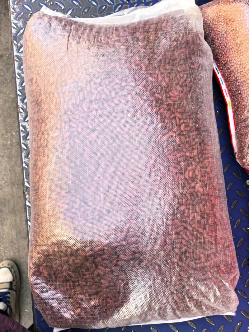 精品红芸豆规格齐全货源充足全国代发可视频看货欢迎电话