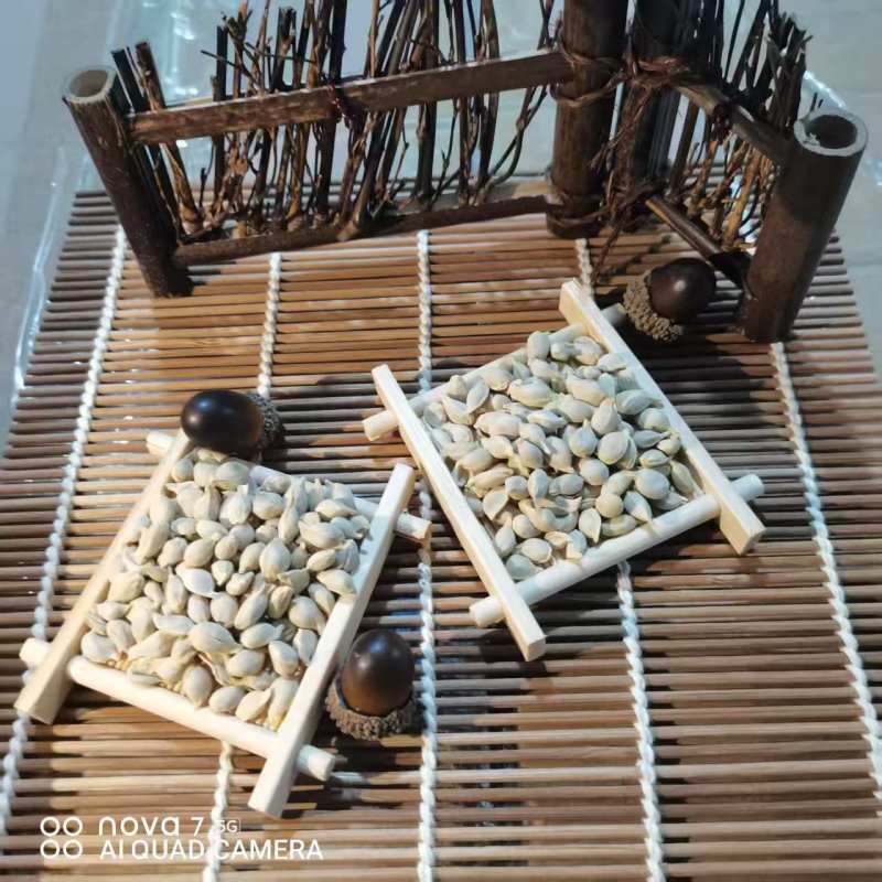 橘核中药材批发橘核天然晾产地直销质量保证量大从优