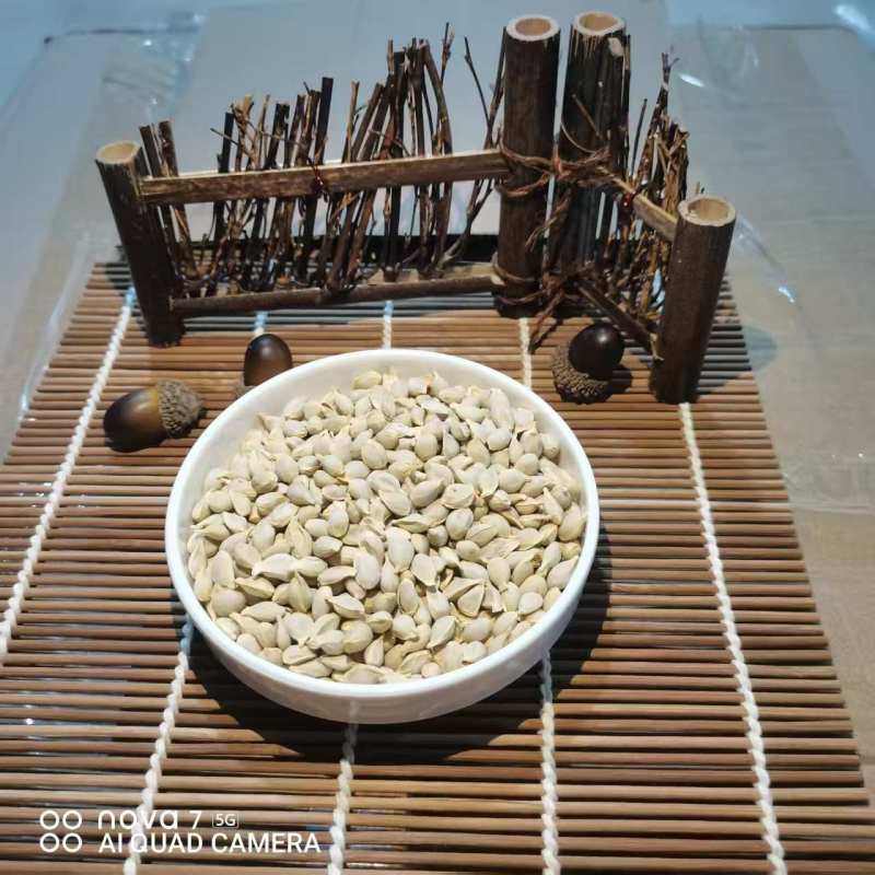 橘核中药材批发橘核天然晾产地直销质量保证量大从优