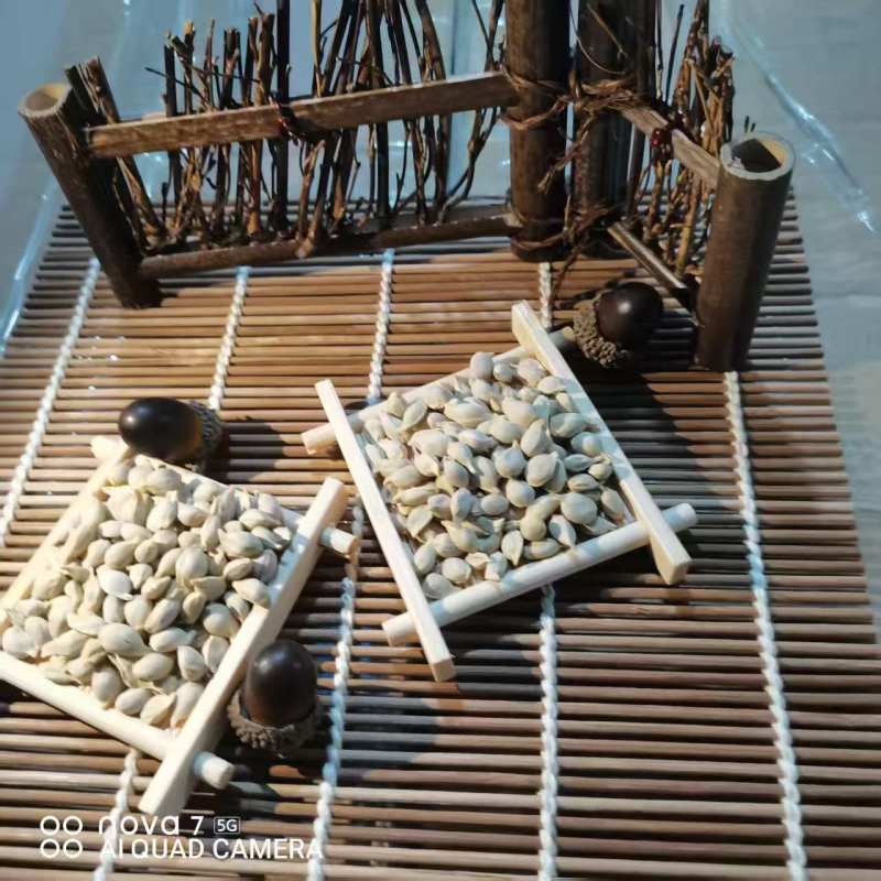 橘核中药材批发橘核天然晾产地直销质量保证量大从优