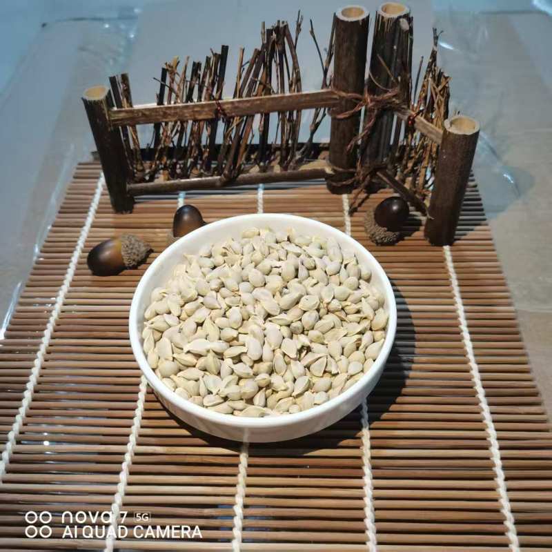 橘核中药材批发橘核天然晾产地直销质量保证量大从优