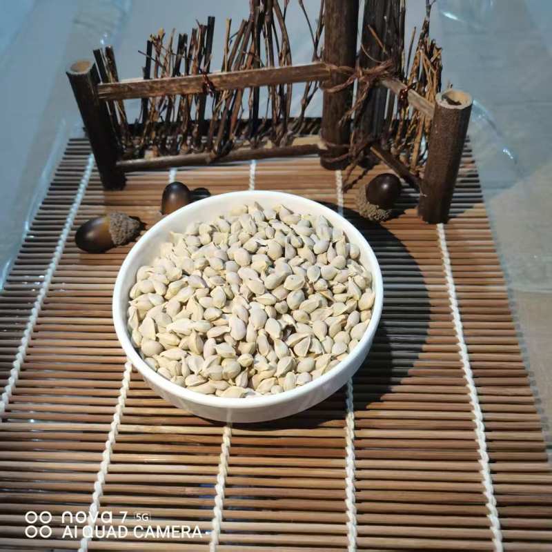 橘核中药材批发橘核天然晾产地直销质量保证量大从优
