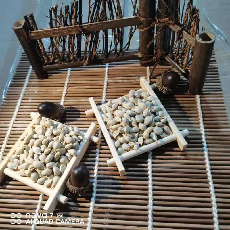 橘核中药材批发橘核天然晾产地直销质量保证量大从优