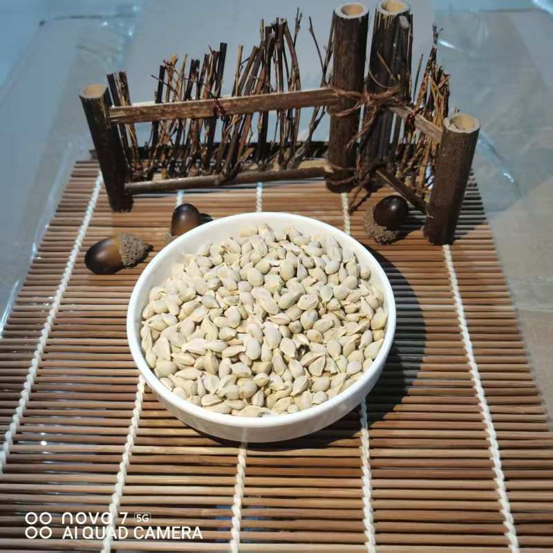 橘核中药材批发橘核天然晾产地直销质量保证量大从优
