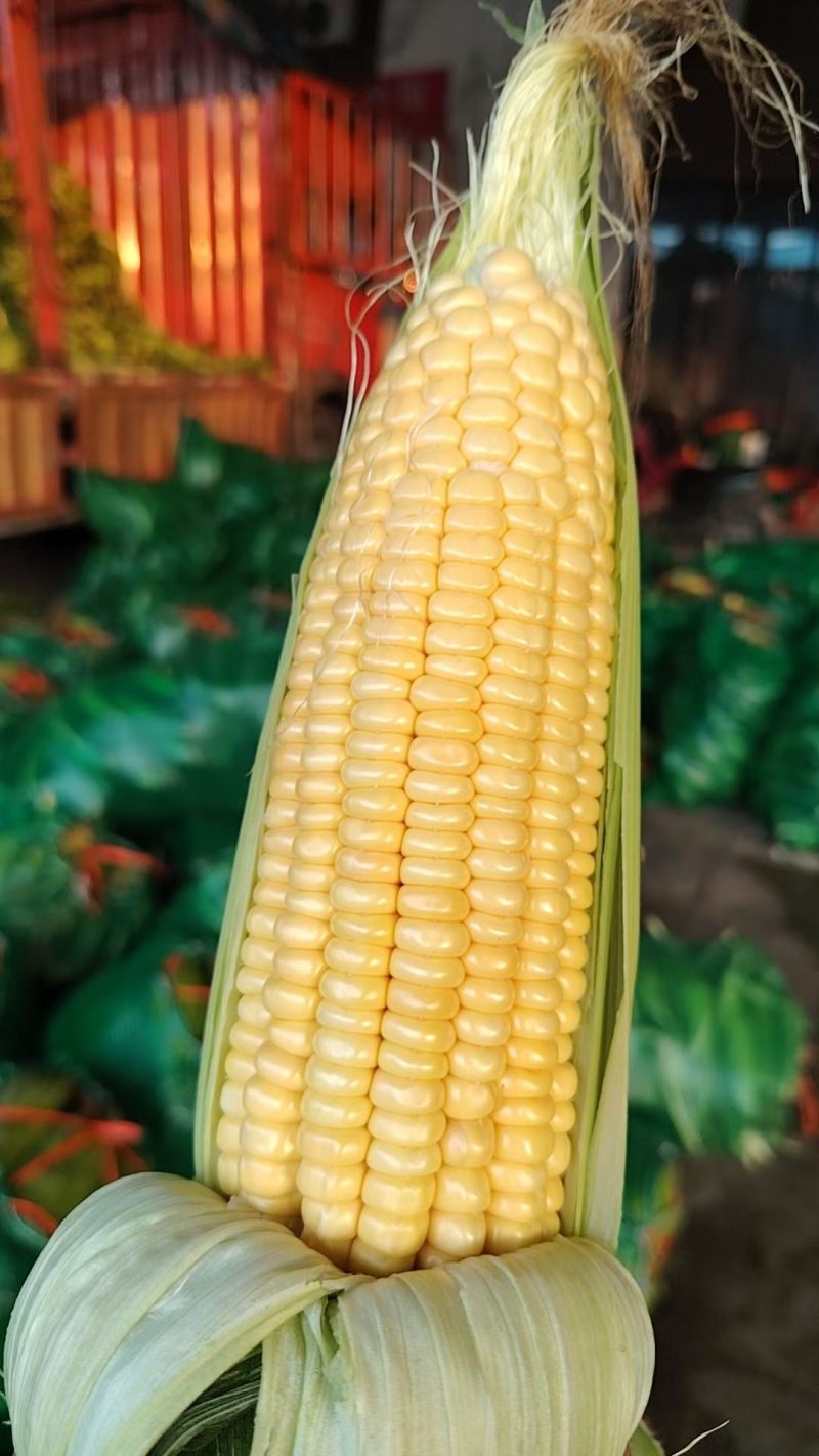 水果玉米