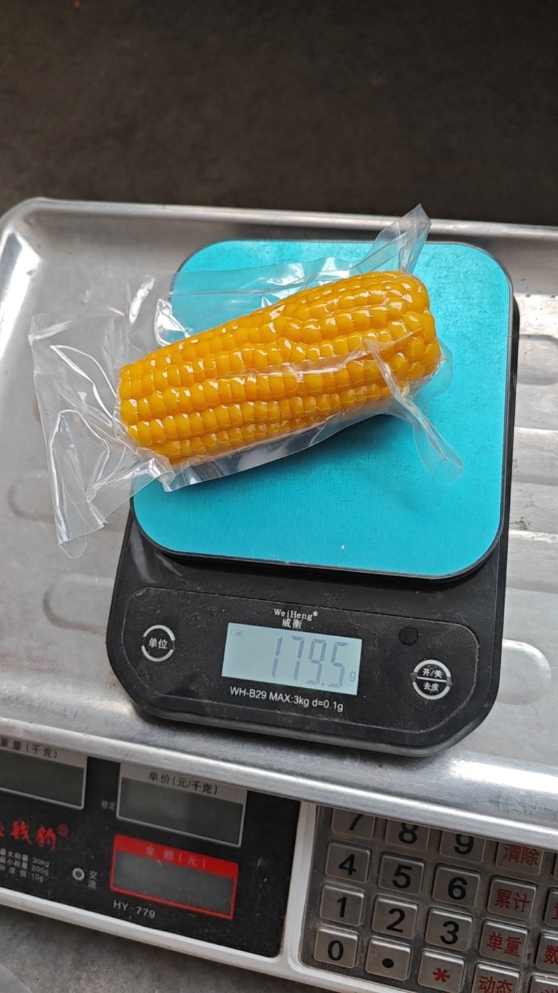 黄糯玉米130到180克玉米可代发集采