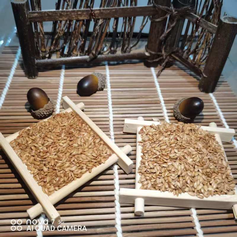 中药材黄金亚麻籽现货供应生熟都有，一手货源量大质优