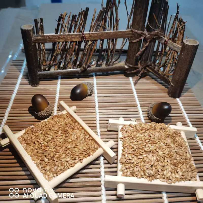 中药材黄金亚麻籽现货供应生熟都有，一手货源量大质优