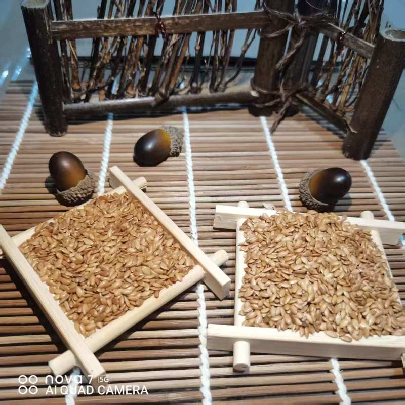 中药材黄金亚麻籽现货供应生熟都有，一手货源量大质优