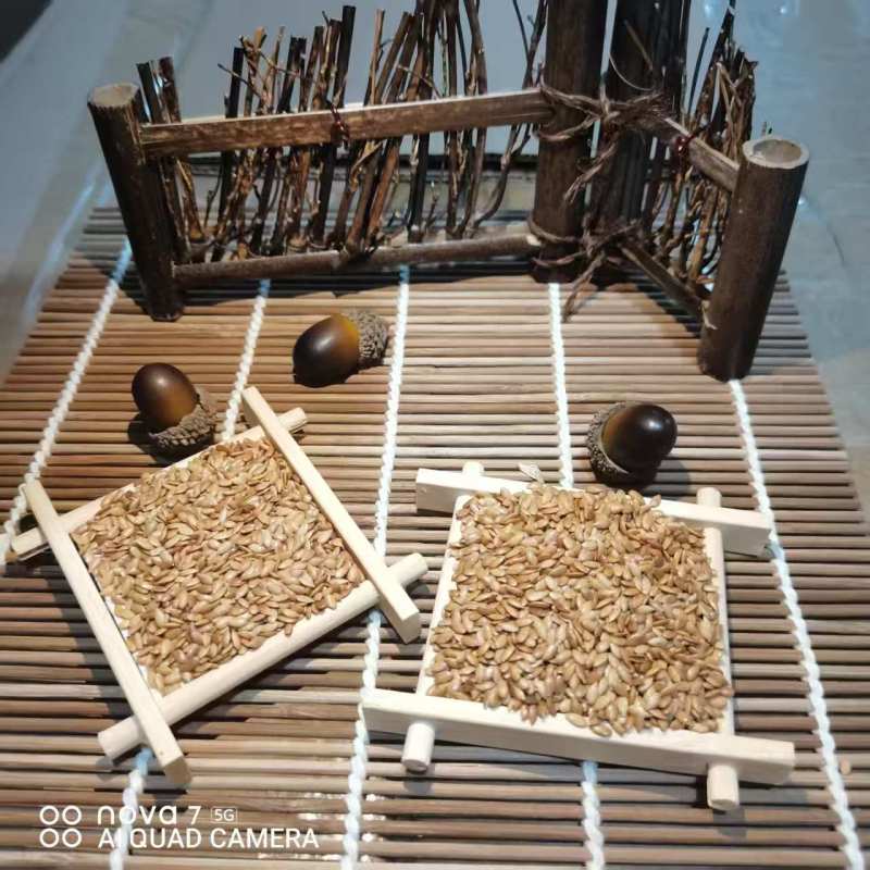 中药材黄金亚麻籽现货供应生熟都有，一手货源量大质优