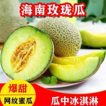 （网纹瓜）海南玫珑哈密瓜/产地货源/整车批发供应