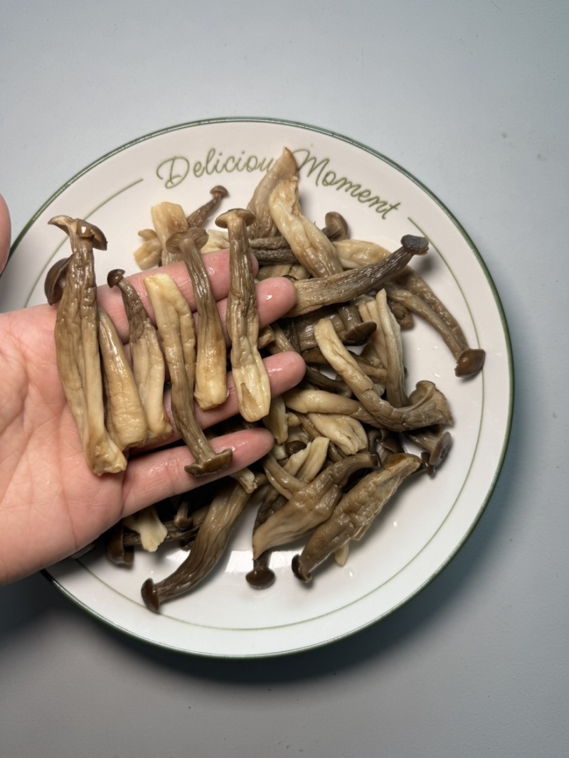 鹿茸菇新鲜农家鹿茸菇煲汤炖炒铁锅炖火锅