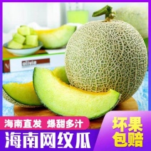 《网纹瓜》玫珑密瓜/海南蜜瓜/冰淇淋蜜瓜/欢迎来电合作