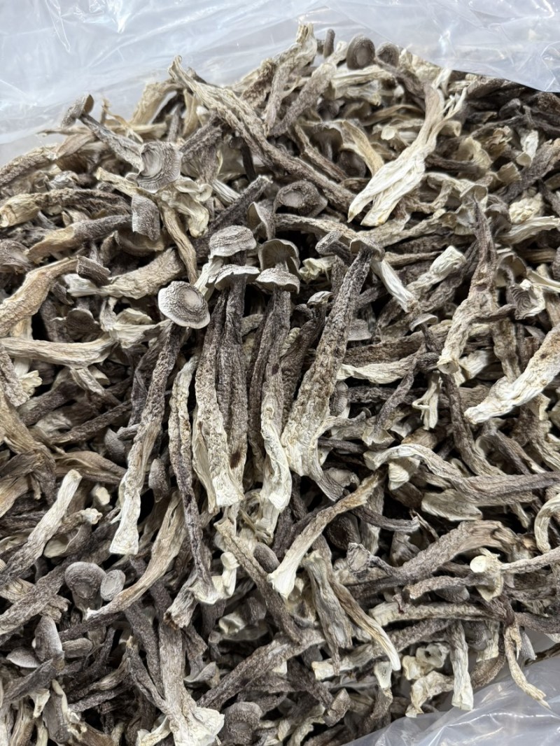 鹿茸菇新鲜农家鹿茸菇煲汤炖炒铁锅炖火锅