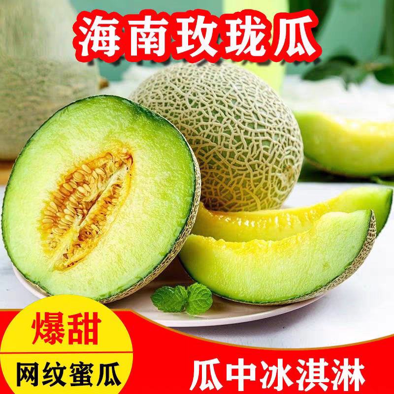 《网纹瓜》玫珑密瓜/海南蜜瓜/冰淇淋蜜瓜/欢迎来电合作