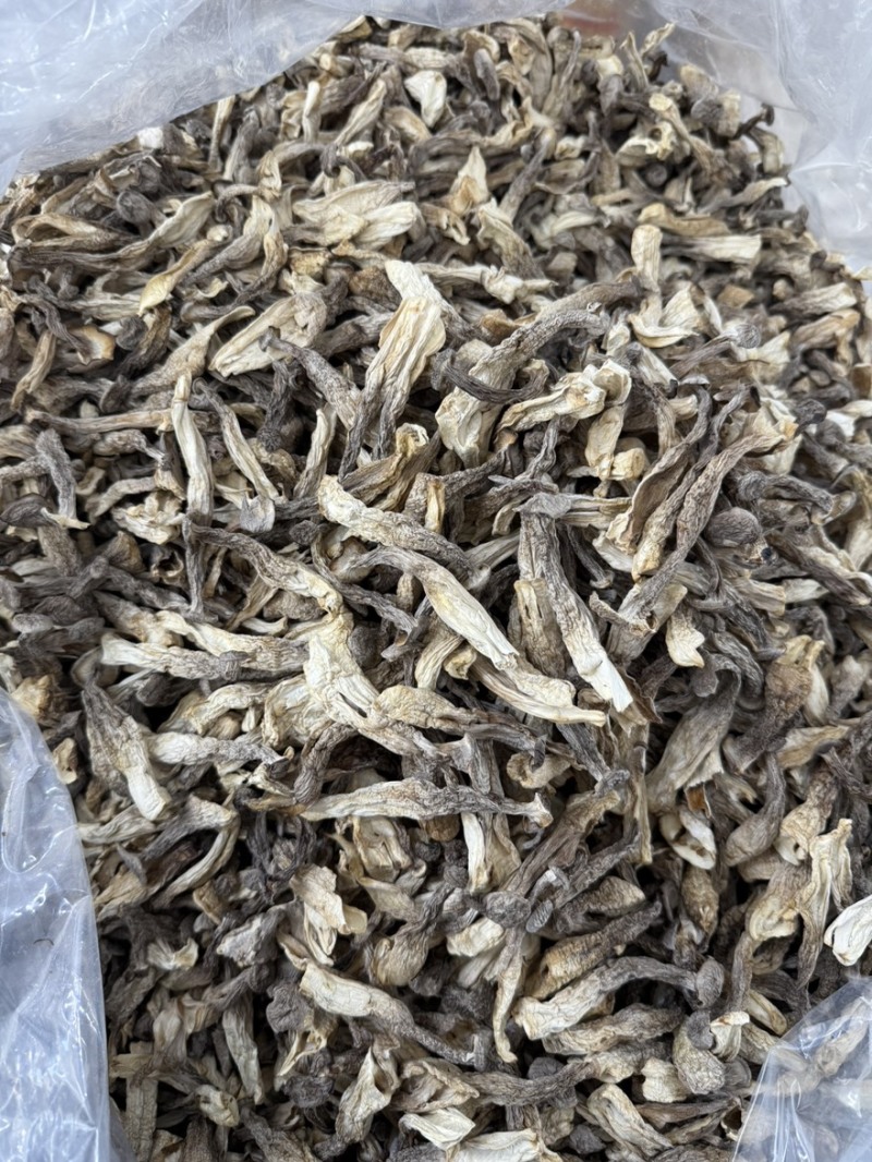鹿茸菇新鲜农家鹿茸菇煲汤炖炒铁锅炖火锅
