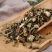 新货野生鬼针草正品三叶鬼针草干有杆中药材鬼针草粘人草