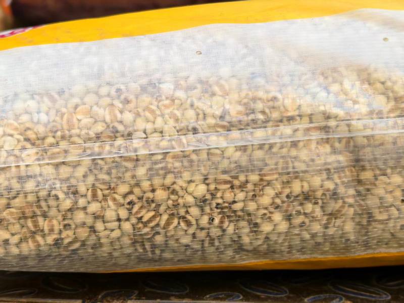 【推荐】精品薏仁米规格齐全货源充足可视频看货欢迎致电咨询