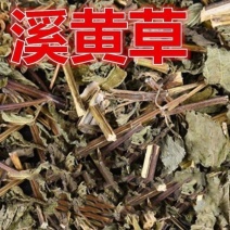 天然溪黄草稀黄草中药材豨黄草溪黄草茶中草药