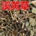 天然溪黄草稀黄草中药材豨黄草溪黄草茶中草药