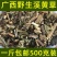 天然溪黄草稀黄草中药材豨黄草溪黄草茶中草药