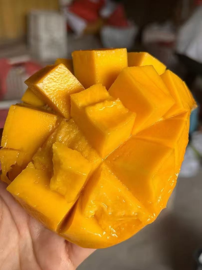 自家各种热带水果，有需要的可以联系