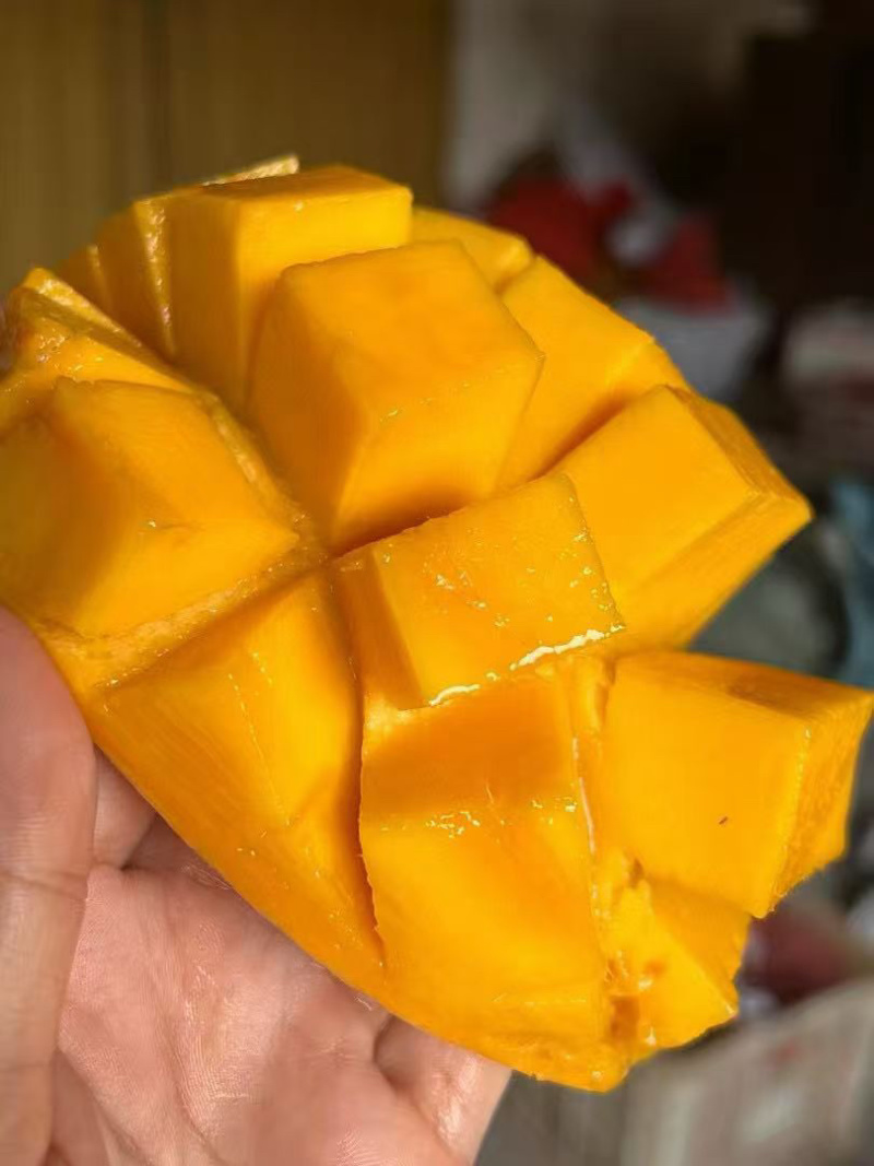 自家各种热带水果，有需要的可以联系
