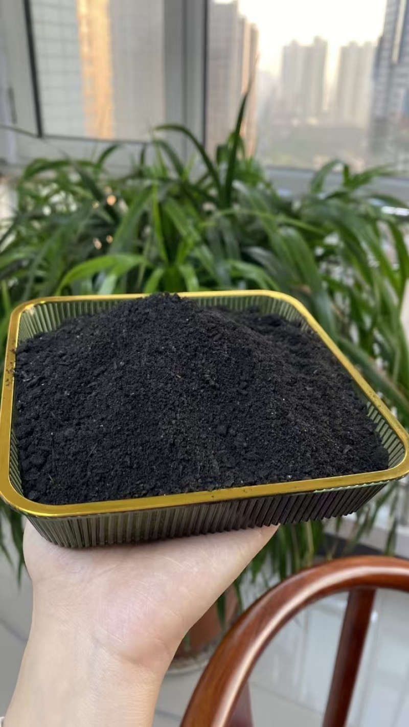 10亿菌微生物菌剂改良土壤有效活菌10亿/g菌剂颗粒