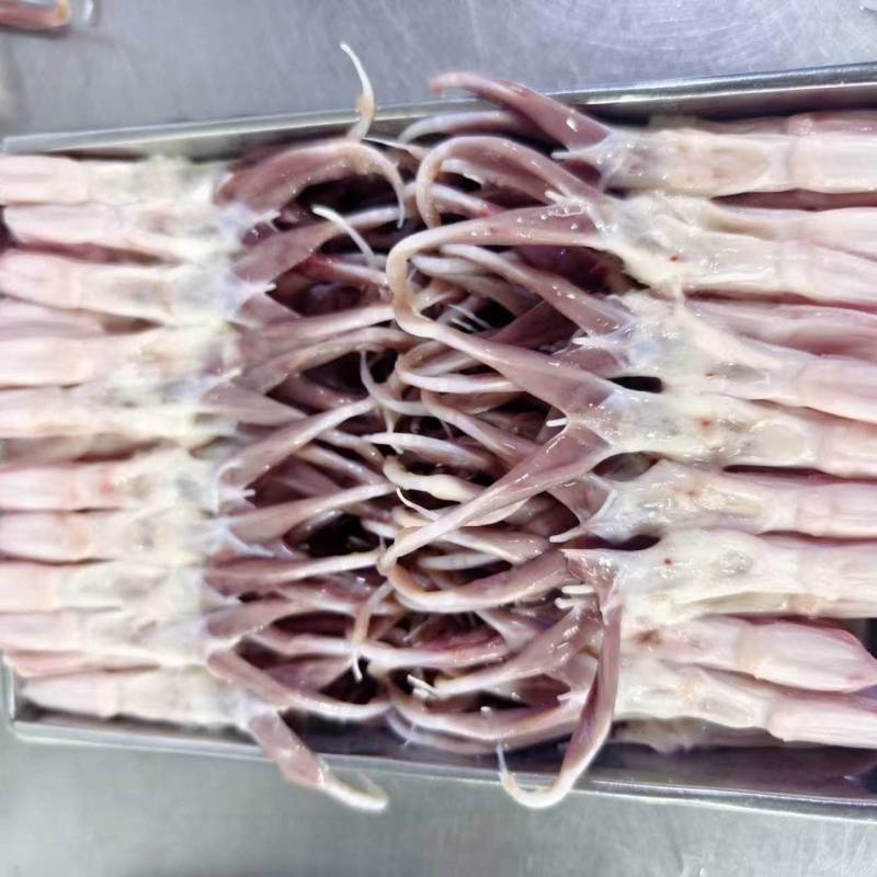 厂家一级小鸭舌5吨