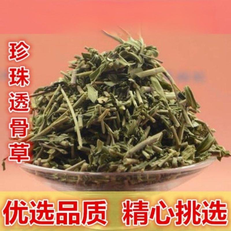 透骨草精选无硫***剂中药材珍珠透骨草散装茶叶青色干净