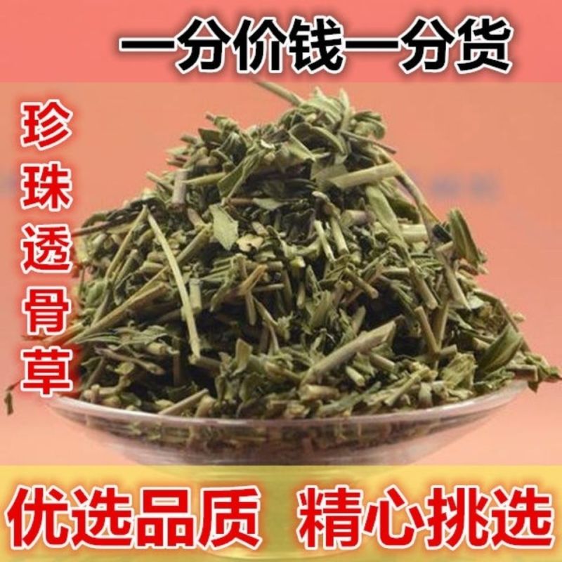 透骨草精选无硫***剂中药材珍珠透骨草散装茶叶青色干净