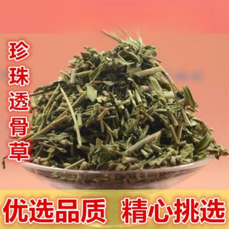 透骨草精选无硫***剂中药材珍珠透骨草散装茶叶青色干净