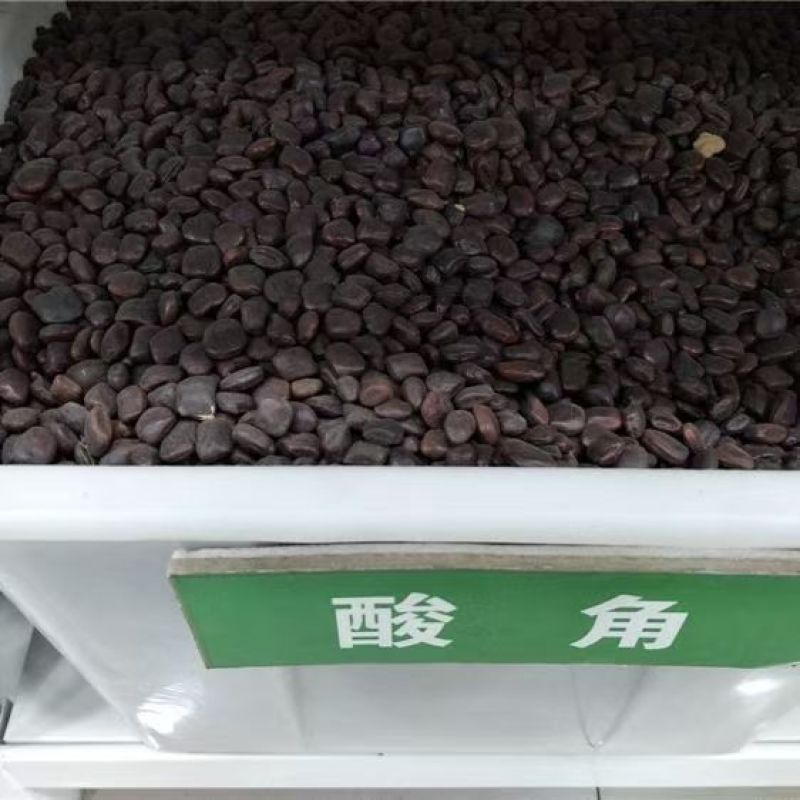 酸角种子罗望子酸豆种籽甜目坎甜角麻夯四季多年生酸梅木罕种