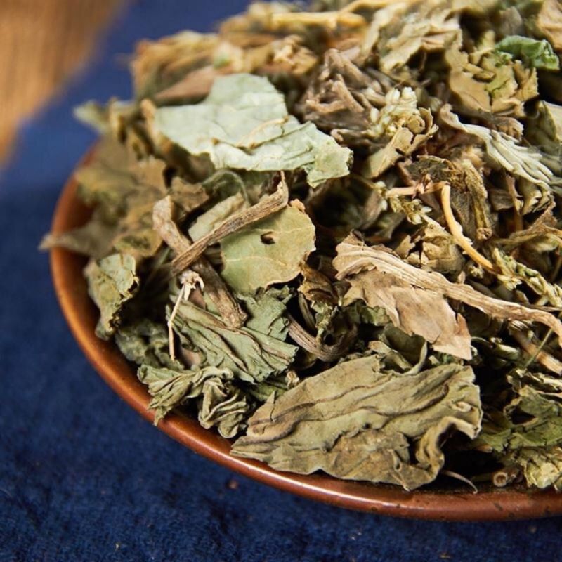 车前草泡茶本草车前草中药材车前草新鲜野生无硫磺车前草晒干