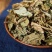 车前草泡茶本草车前草中药材车前草新鲜野生无硫磺车前草晒干