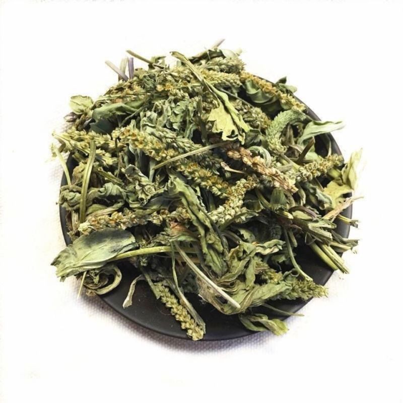 车前草泡茶本草车前草中药材车前草新鲜野生无硫磺车前草晒干