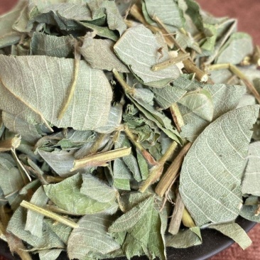 中草药大叶金钱草泡水喝广西金钱草中药材中草药