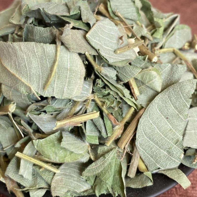中草药大叶金钱草泡水喝广西金钱草中药材中草药