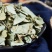中草药大叶金钱草泡水喝广西金钱草中药材中草药