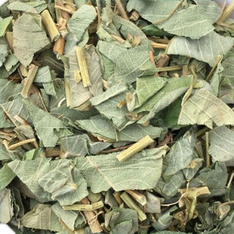 中草药大叶金钱草泡水喝广西金钱草中药材中草药