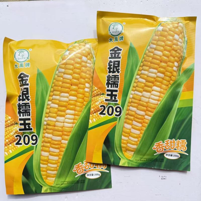 金银糯玉209超甜双色水果玉米种子特大高产甜玉米种子