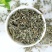 叶下珠中药材叶下珠野生珍珠草鱼鳞草珍珠草新货