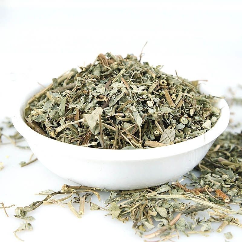 叶下珠中药材叶下珠野生珍珠草鱼鳞草珍珠草新货