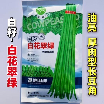 袁豇白籽白花翠绿豆角种子厚肉型长豇豆种子耐热春夏秋长豆角