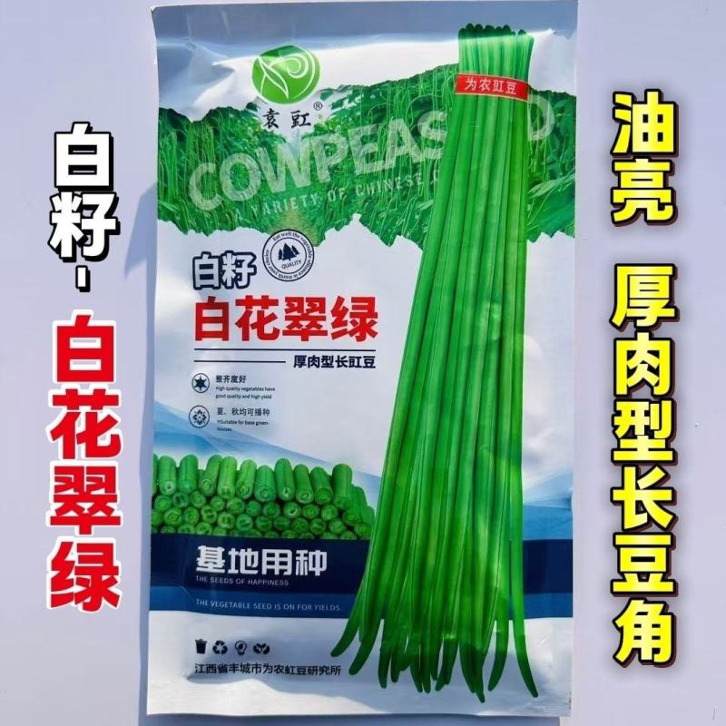 袁豇白籽白花翠绿豆角种子厚肉型长豇豆种子耐热春夏秋长豆角