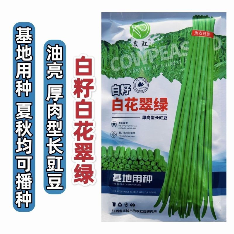 袁豇白籽白花翠绿豆角种子厚肉型长豇豆种子耐热春夏秋长豆角