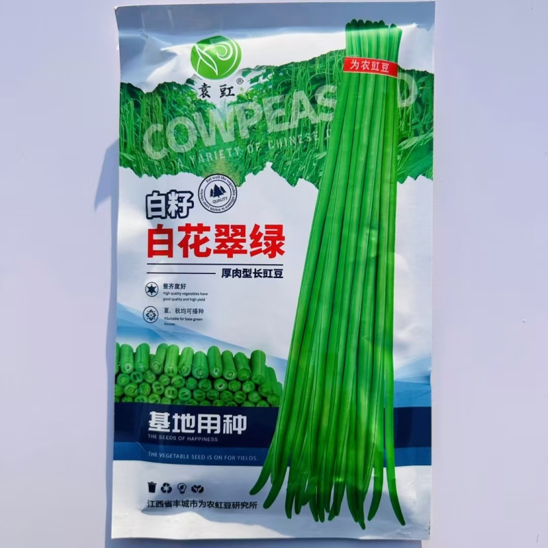 袁豇白籽白花翠绿豆角种子厚肉型长豇豆种子耐热春夏秋长豆角