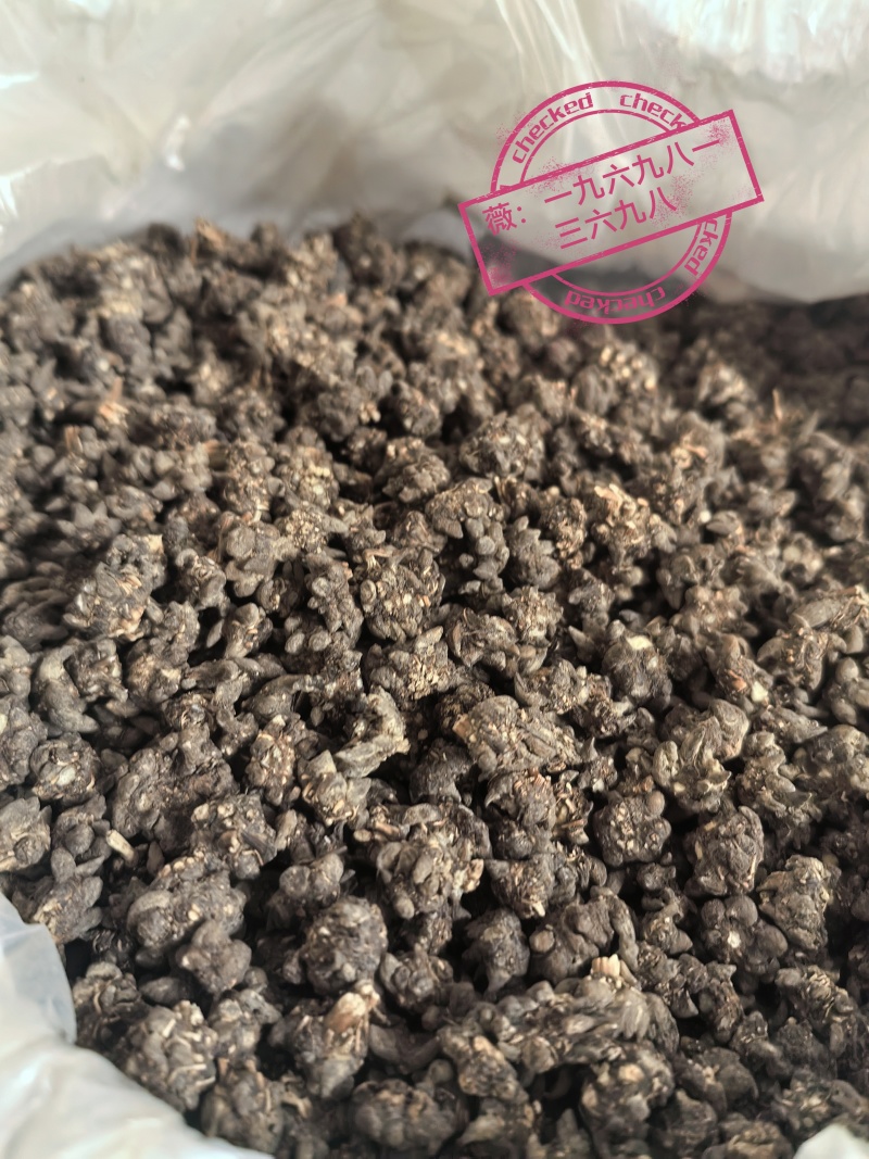 自家种植猫爪草