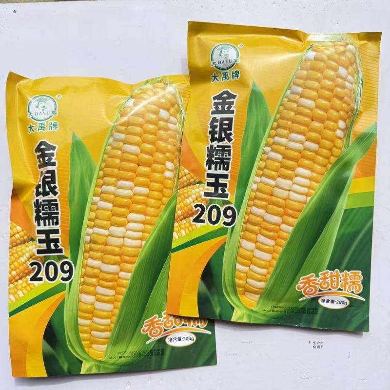 金银糯玉209超甜双色水果玉米种子特大高产甜玉米种子