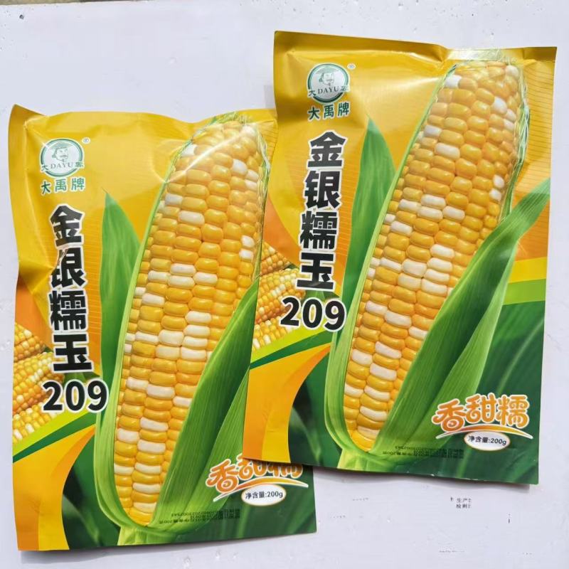 金银糯玉209超甜双色水果玉米种子特大高产甜玉米种子